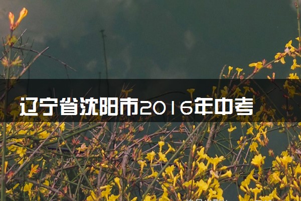 辽宁省沈阳市2016年中考物理真题试题（含解析）