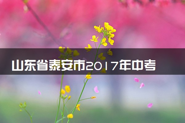 山东省泰安市2017年中考物理真题试题（含解析）
