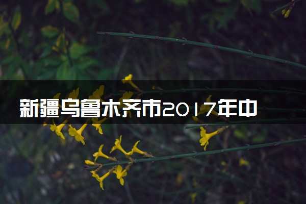 新疆乌鲁木齐市2017年中考物理真题试题（含解析）
