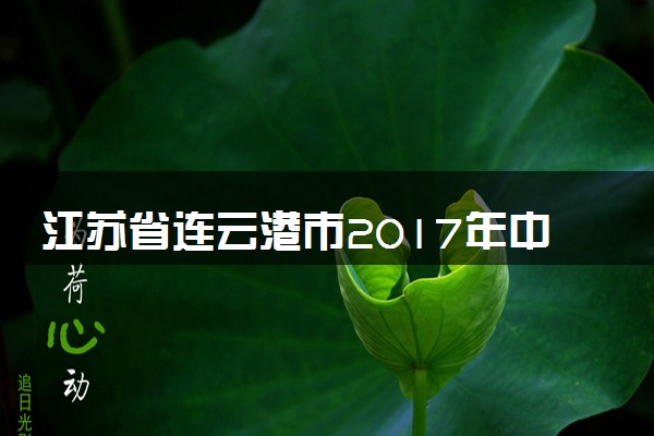 江苏省连云港市2017年中考物理真题试题（含解析）