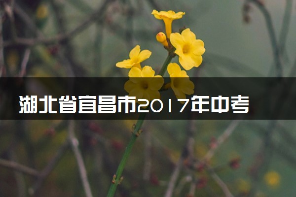湖北省宜昌市2017年中考物理真题试题（含解析）
