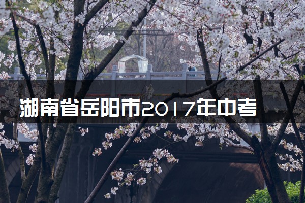 湖南省岳阳市2017年中考物理真题试题（含解析）