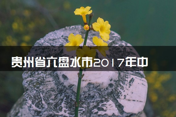 贵州省六盘水市2017年中考理综（物理部分）真题试题（含答案）