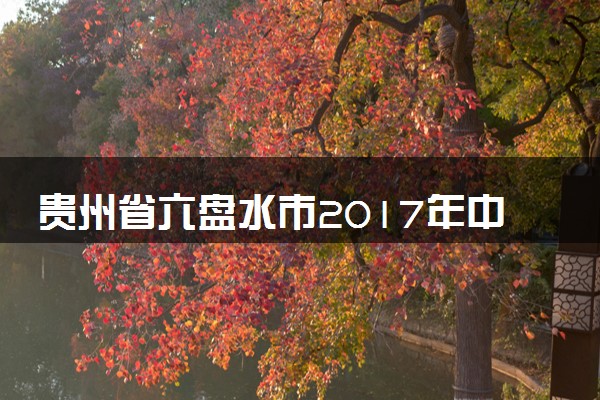 贵州省六盘水市2017年中考物理真题试题（含解析）