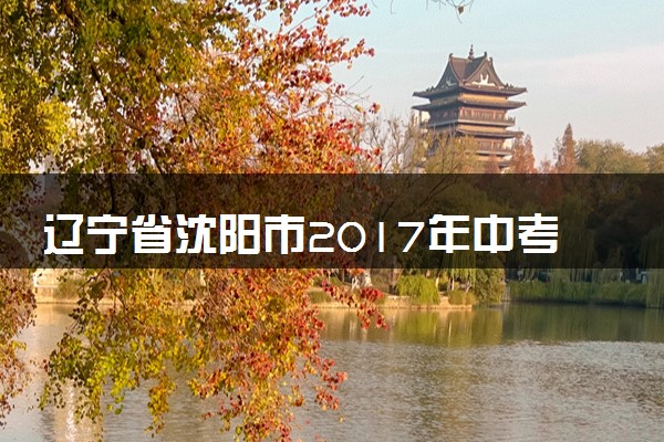辽宁省沈阳市2017年中考物理真题试题（含解析）