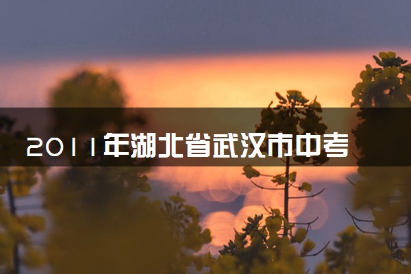 2011年湖北省武汉市中考物理试题及答案