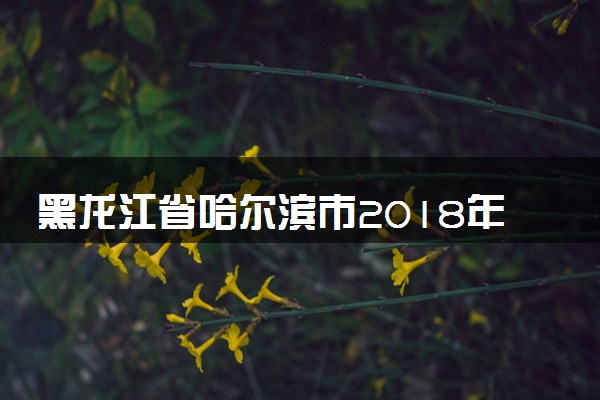 黑龙江省哈尔滨市2018年中考英语真题试题（含答案）