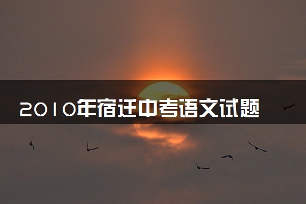 2010年宿迁中考语文试题及答案