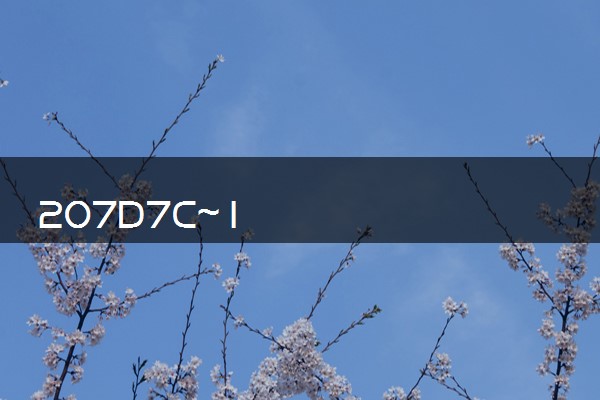 207D7C~1