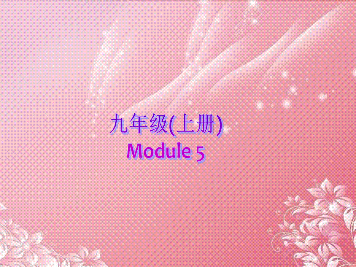 2013年九年级英语上册 Module 5 Museums Unit 2 There’s no sh