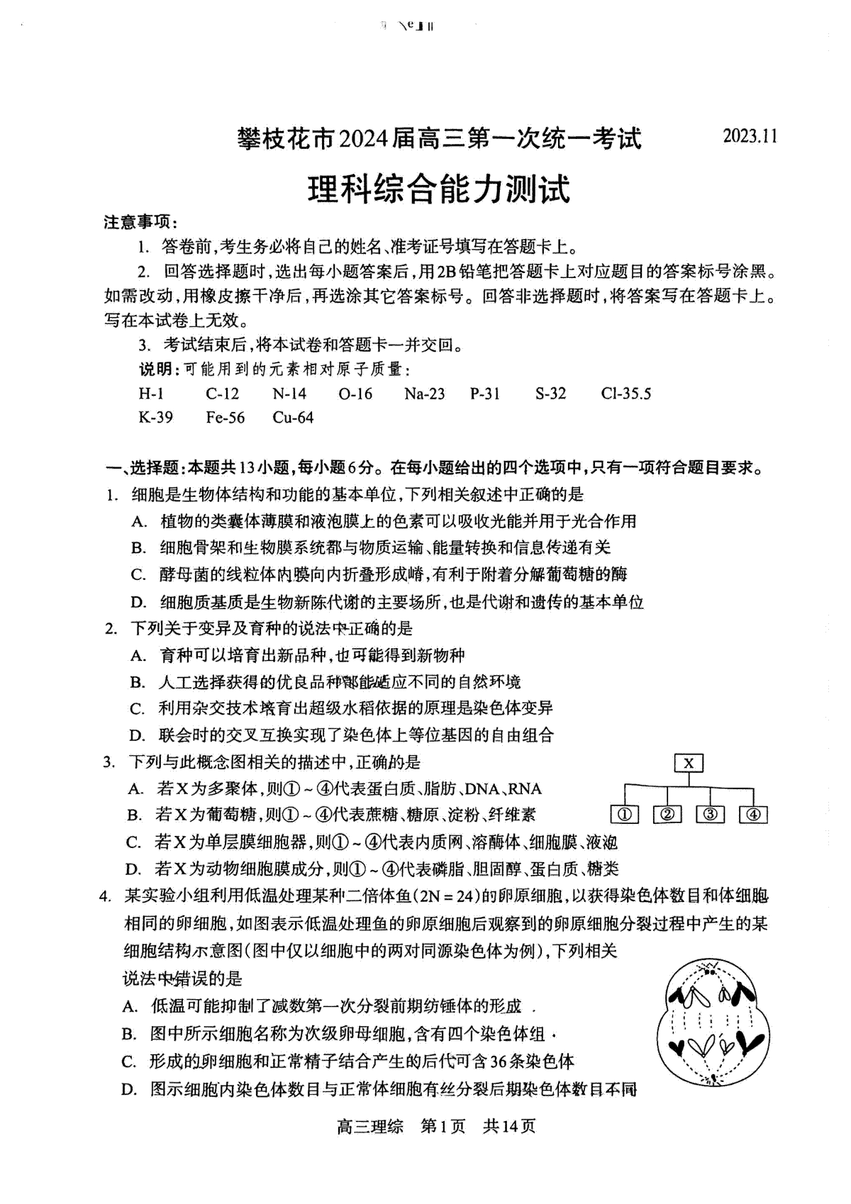 攀枝花市2024届高三第一次统一考试理科综合