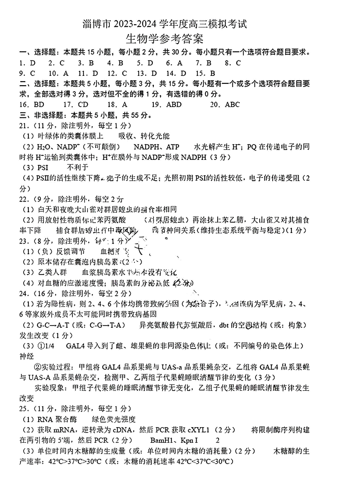 2024届山东省淄博市高三一模考试 生物答案