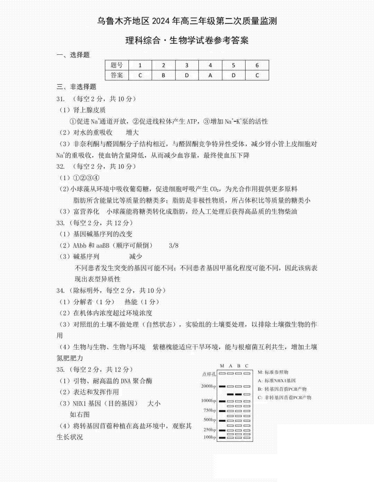 2024届新疆维吾尔自治区乌鲁木齐地区高三下学期第二次质量监测（二模）生物答案