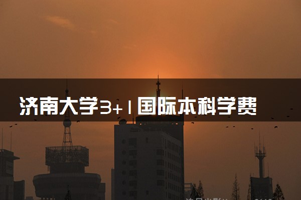 济南大学3+1国际本科学费多少钱