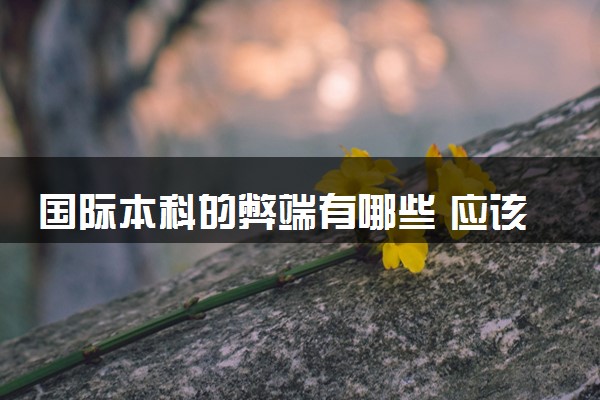 国际本科的弊端有哪些 应该如何选择学校