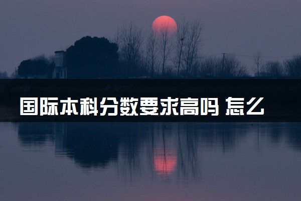 国际本科分数要求高吗 怎么报考