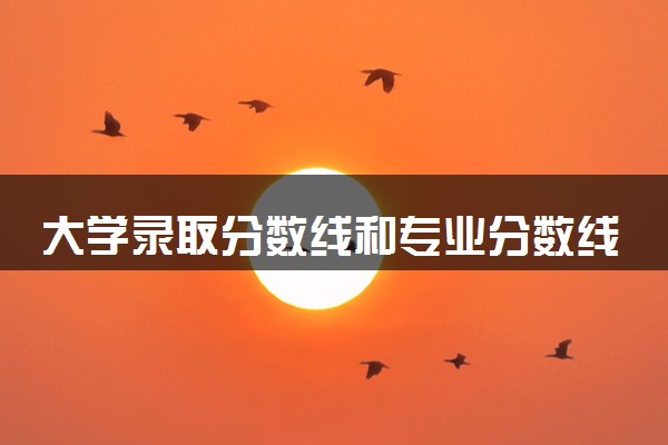 大学录取分数线和专业分数线区别 有什么不同