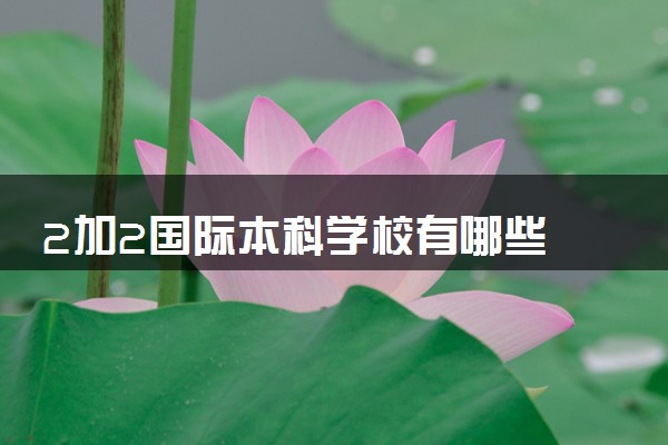2加2国际本科学校有哪些