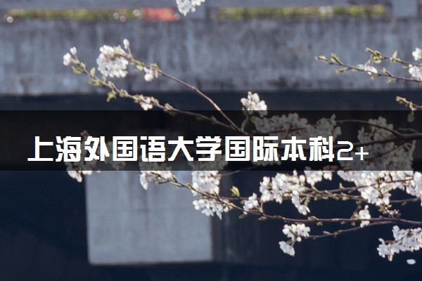 上海外国语大学国际本科2+2好不好