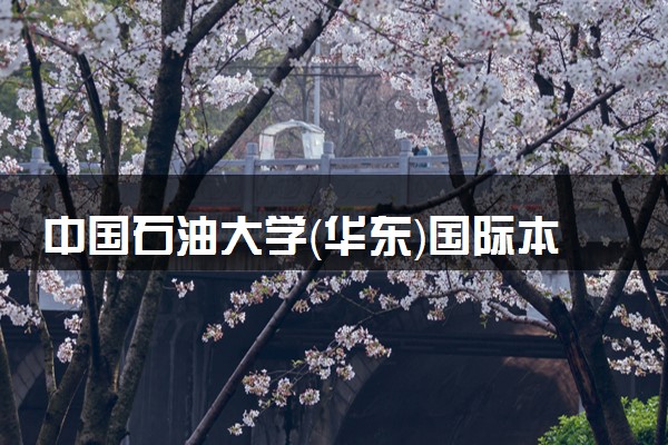 中国石油大学（华东）国际本科国家认可吗？