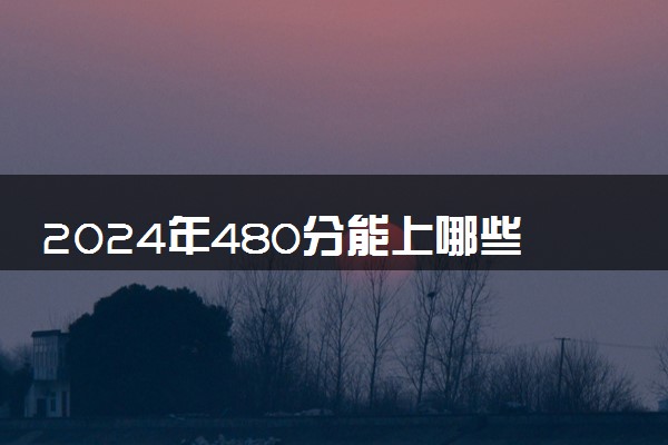 2024年480分能上哪些大学 什么学校好
