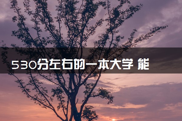 530分左右的一本大学 能上哪些大学