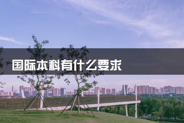 国际本科有什么要求