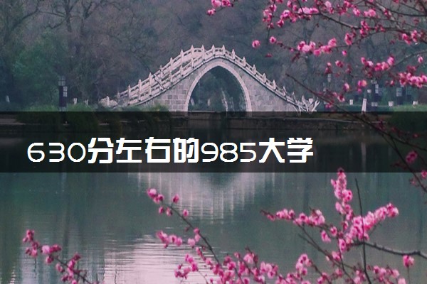 630分左右的985大学 2024想考985院校需要多少分