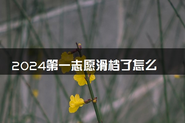 2024第一志愿滑档了怎么办 有哪些补救方法