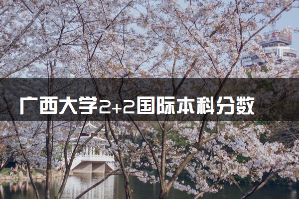 广西大学2+2国际本科分数线多少？