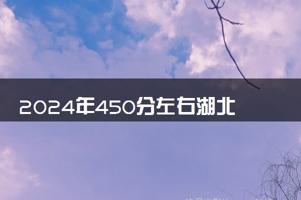 2024年450分左右湖北能上公办学校 有哪些推荐