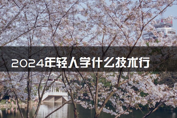2024年轻人学什么技术行业比较好一点 哪些技能好找工作