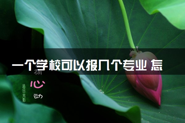 一个学校可以报几个专业 怎么报考稳妥