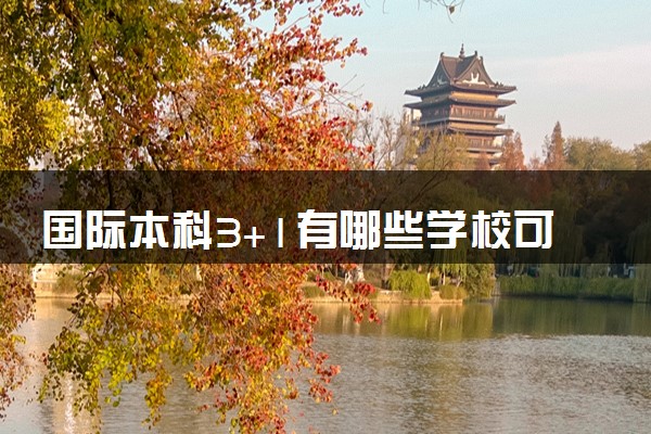 国际本科3+1有哪些学校可以读