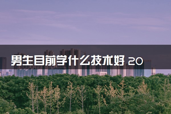 男生目前学什么技术好 2024哪些技术好就业
