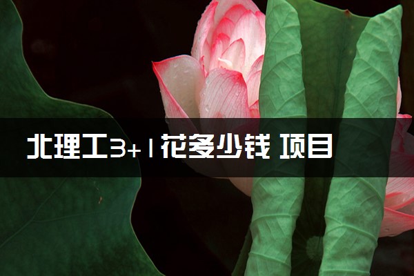 北理工3+1花多少钱 项目好不好