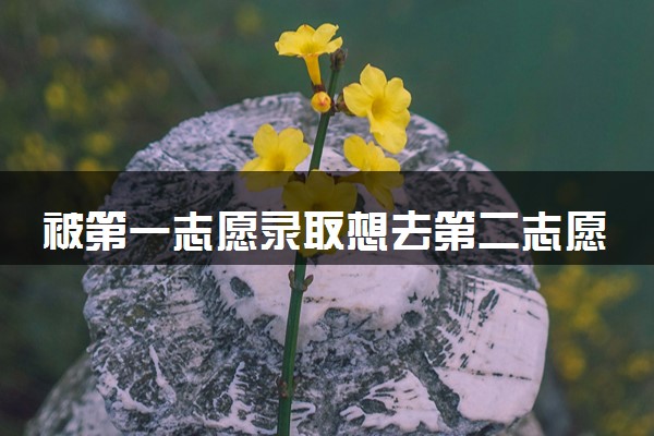 被第一志愿录取想去第二志愿怎么办 需要注意什么