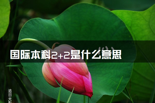 国际本科2+2是什么意思