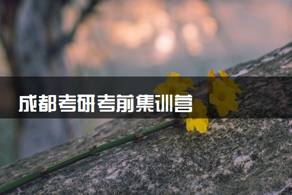 成都考研考前集训营
