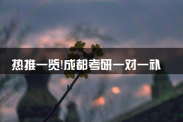 热推一览！成都考研一对一补课机构哪家好