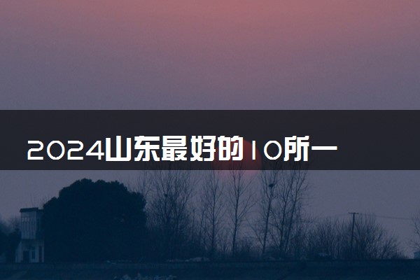 2024山东最好的10所一本大学 哪些名校推荐读