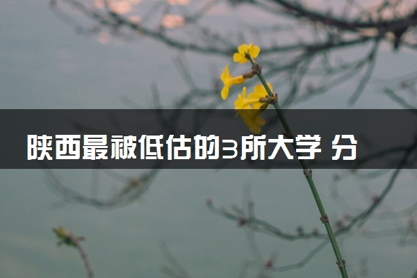 陕西最被低估的3所大学 分别是什么