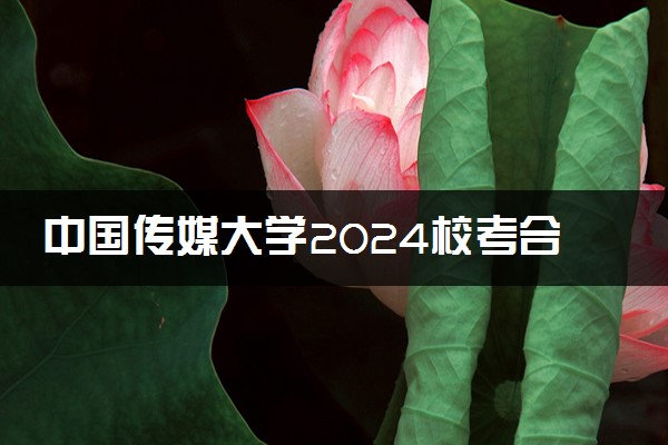 中国传媒大学2024校考合格分数线公布 各专业分数线汇总