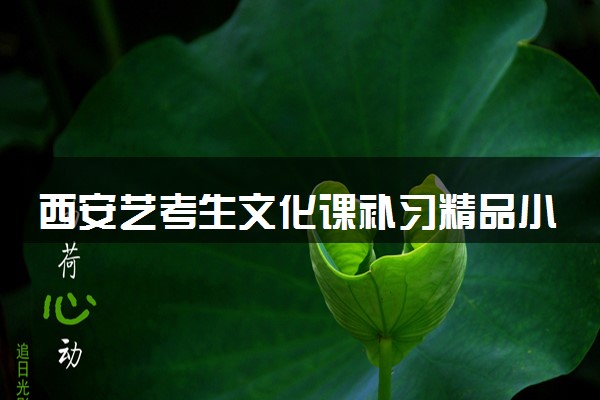 西安艺考生文化课补习精品小班