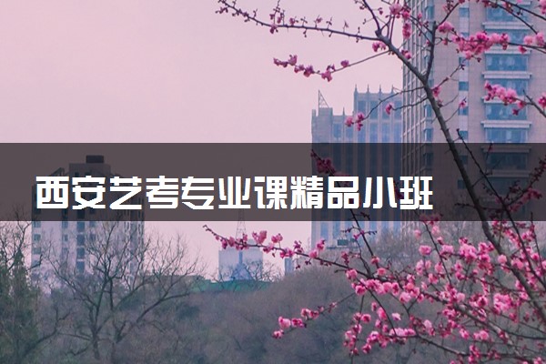 西安艺考专业课精品小班