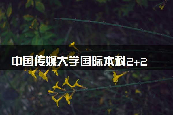 中国传媒大学国际本科2+2怎么样