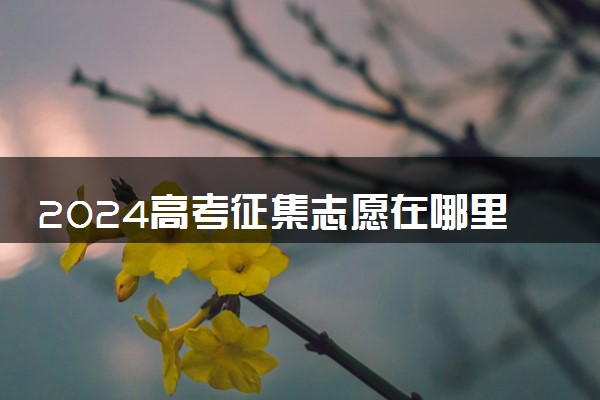 2024高考征集志愿在哪里报名 一般什么时候报