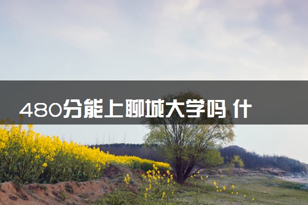 480分能上聊城大学吗 什么专业适合报考