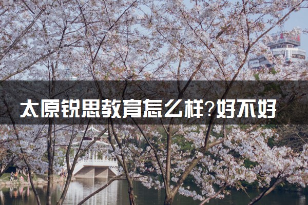 太原锐思教育怎么样？好不好