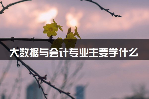 大数据与会计专业主要学什么 就业前景怎么样